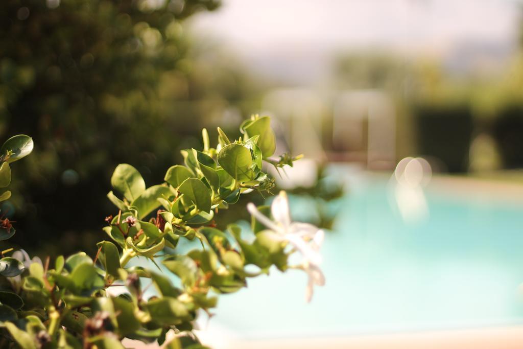 Valle Di Mare Country Hotel 4*